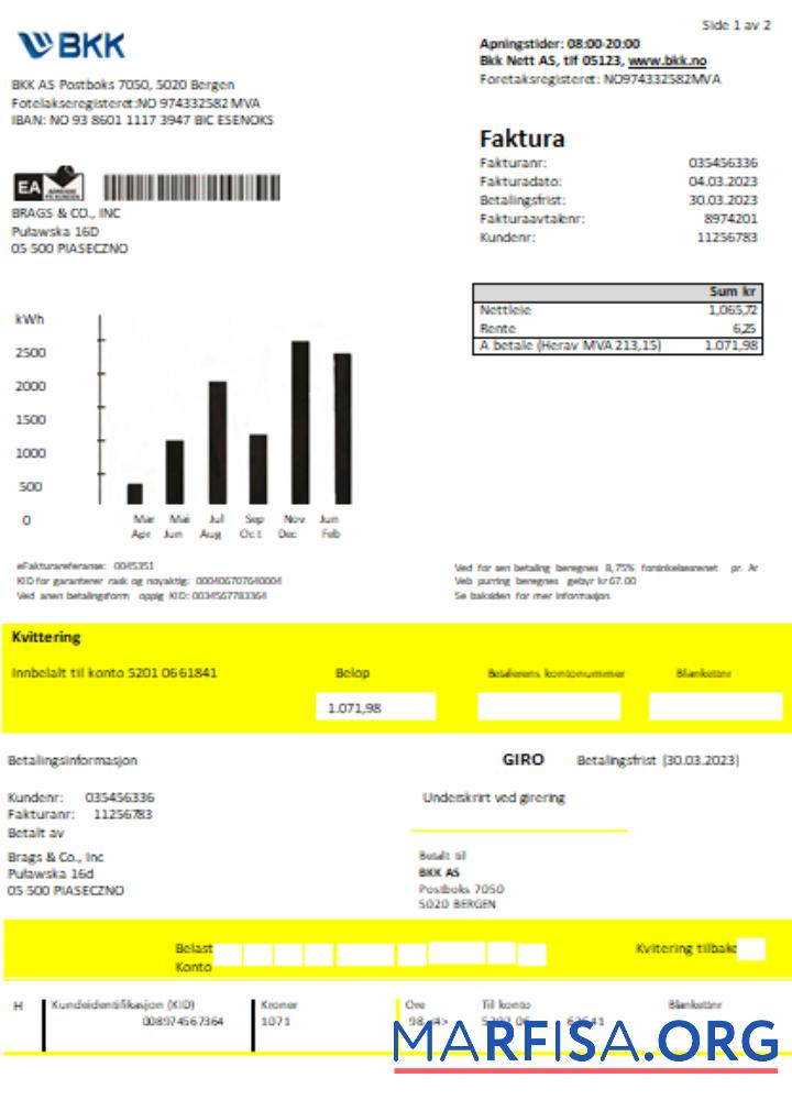Blank BKK electricity utility business bill SCR template